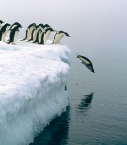 Living Life In Front