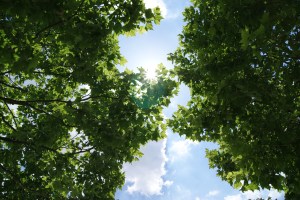 Photo by RKS Photography 